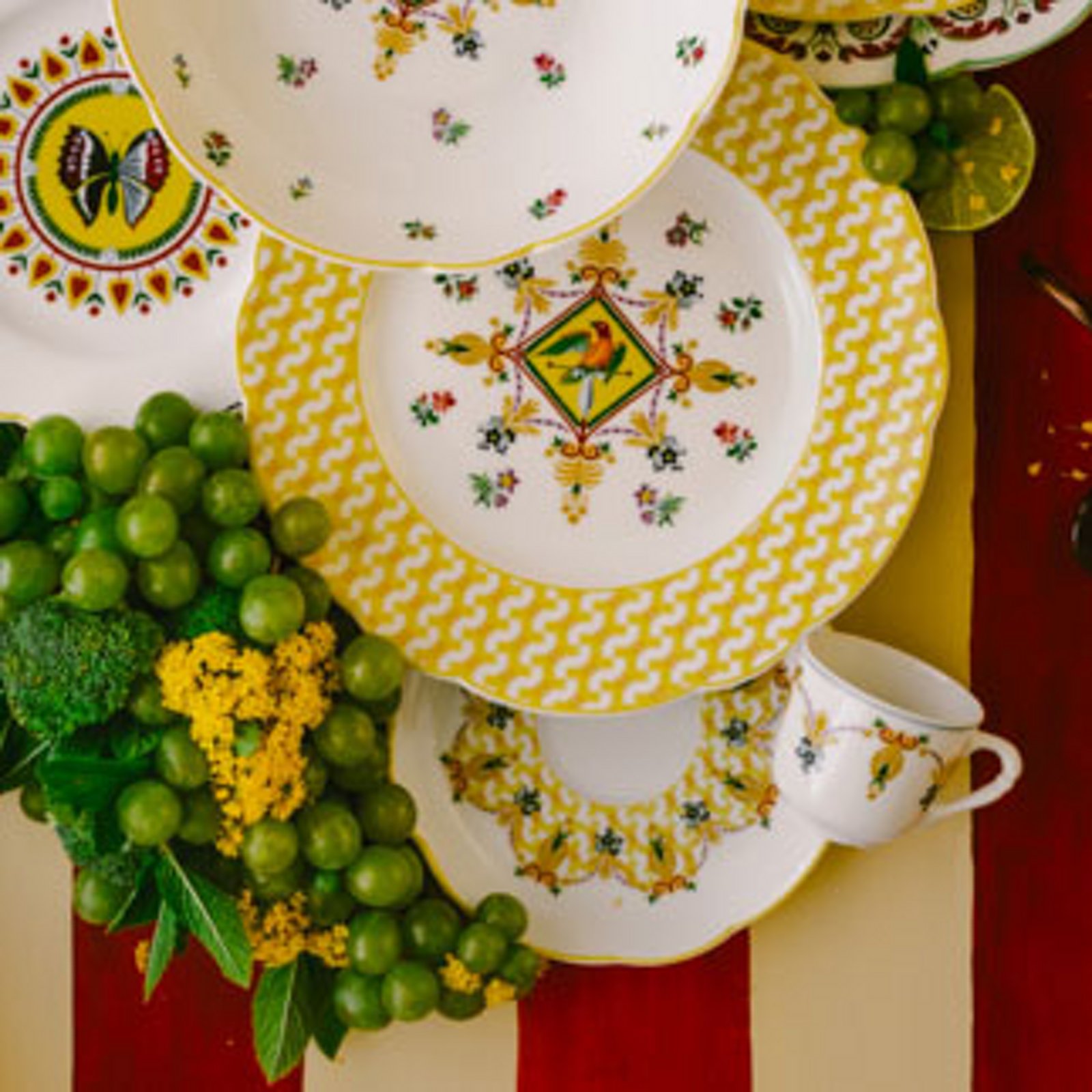 Bernardaud Decorated Dinneware Collections