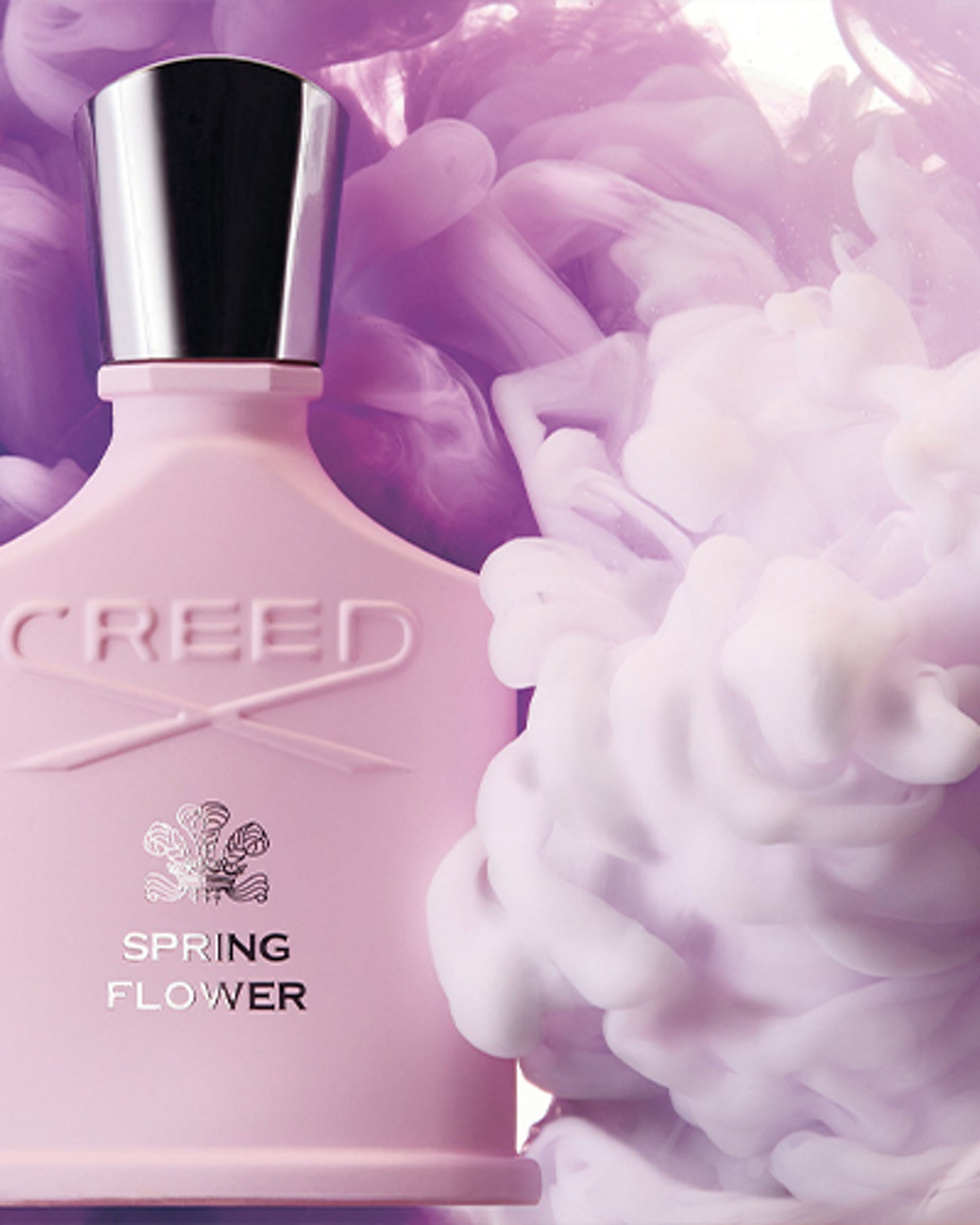 CREED - Bloomingdale's