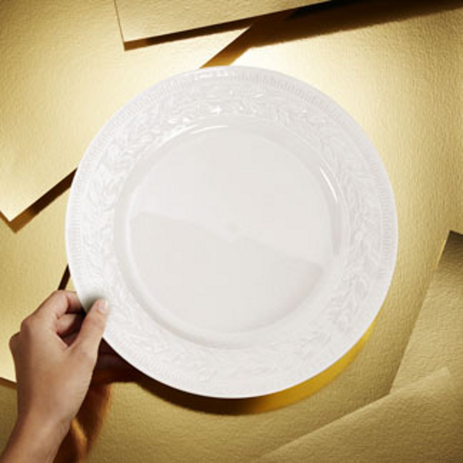 Bernardaud Whiteware Collection