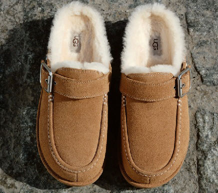 Discover Fall Shoes
